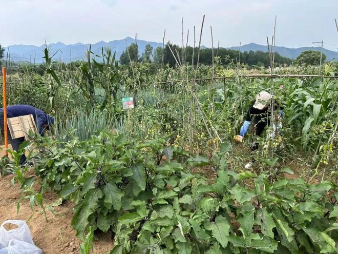 夜半驚雷，密云農(nóng)場(chǎng)在洪水中失守