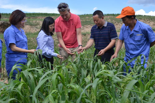 天鎮(zhèn)“新漁歌” 特色水產(chǎn)養(yǎng)殖開辟優(yōu)質(zhì)農(nóng)產(chǎn)品出海新航道
