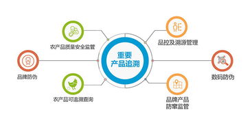 二維碼防偽溯源系統(tǒng) 增加消費者防偽意識